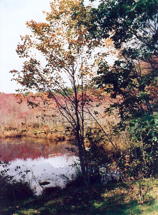 Sacred Space on Merriam