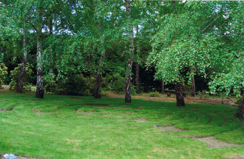 labyrinth in British Columbia