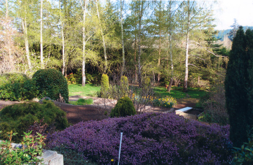 labyrinth in British Columbia